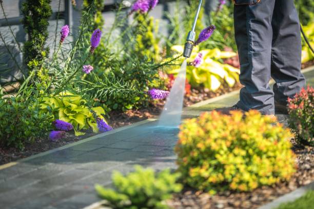 Best Sidewalk and Walkway Cleaning  in Clermont, FL
